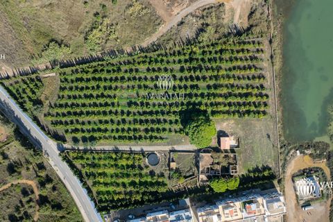 Farm i Tavira, Faro, Tavira - € 2.500.000 | Ref: QuintaRiaFormos - foto 15